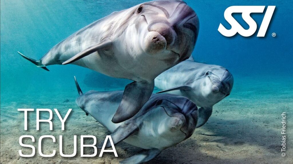 tryscuba
